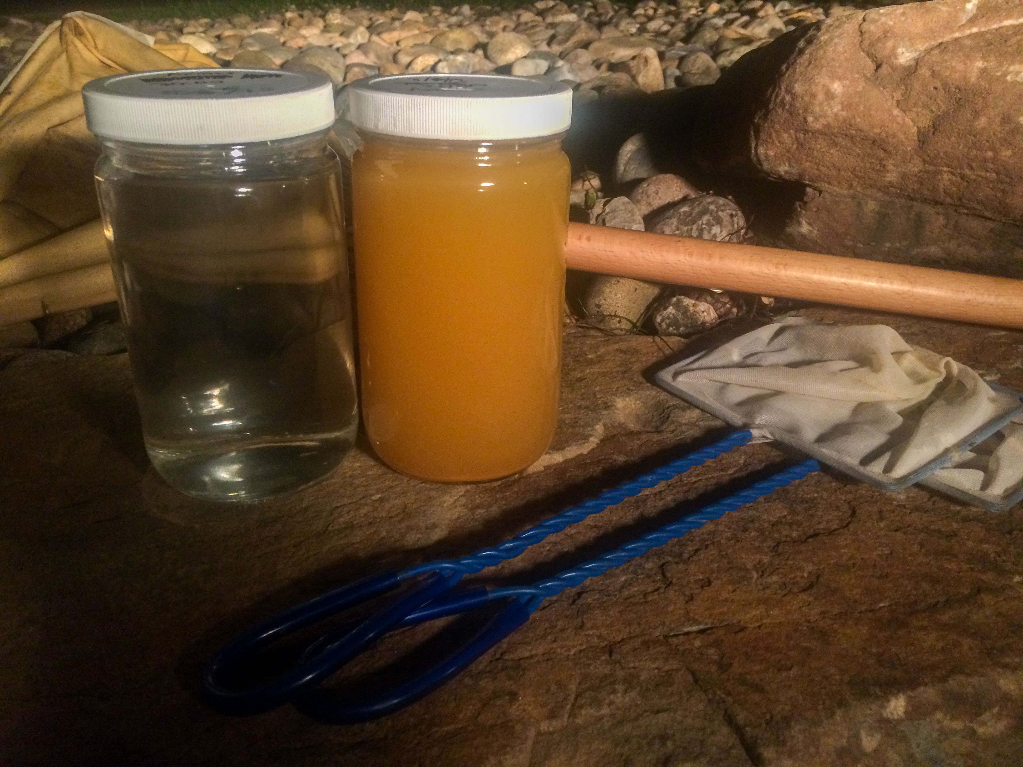 Picture of water samples