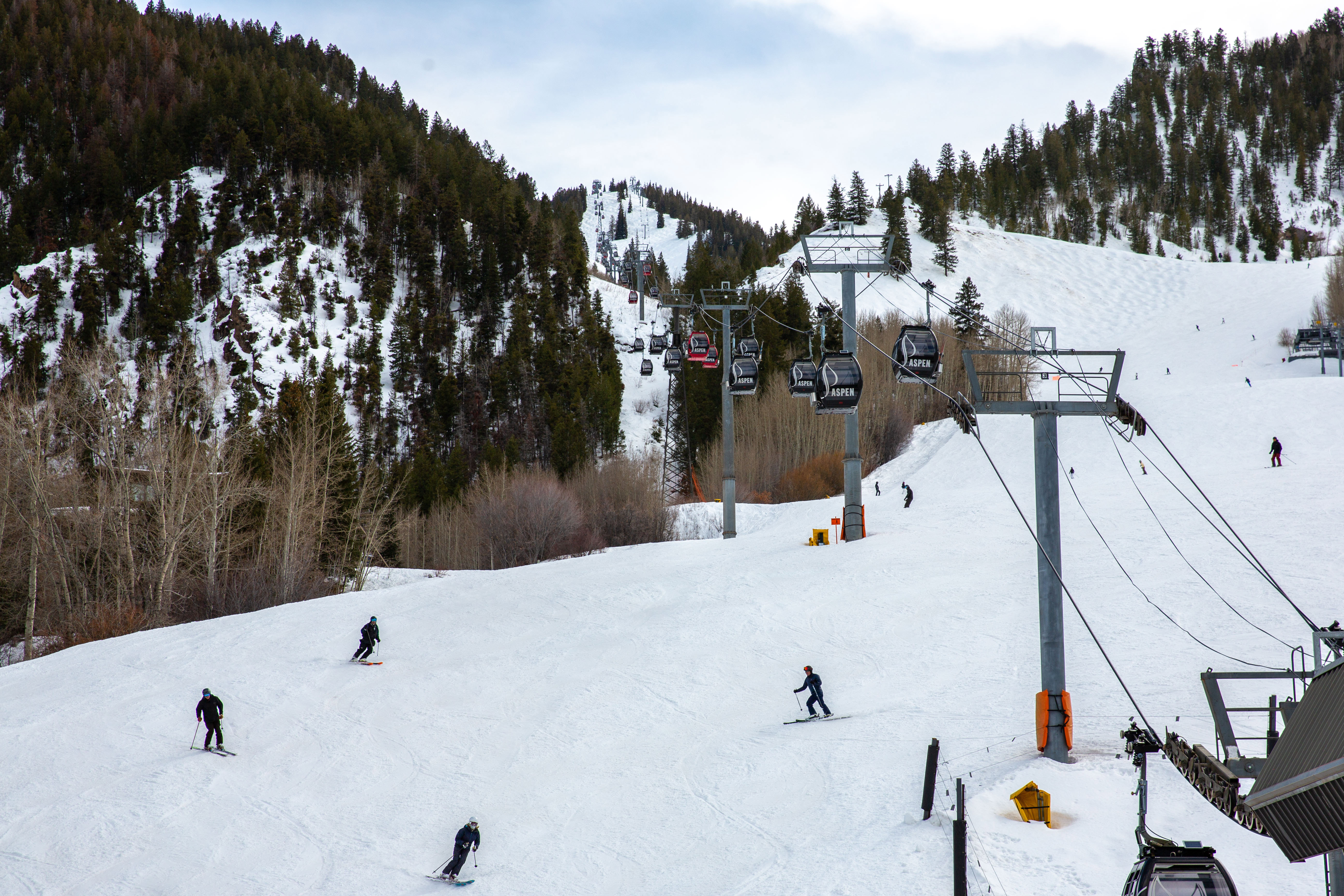 Picture of ski slopes