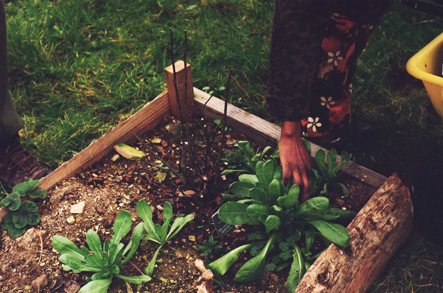 Garden bed
