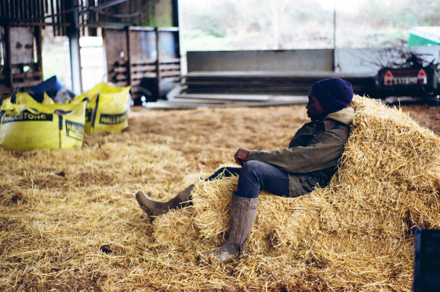 Flavian playing in the hay