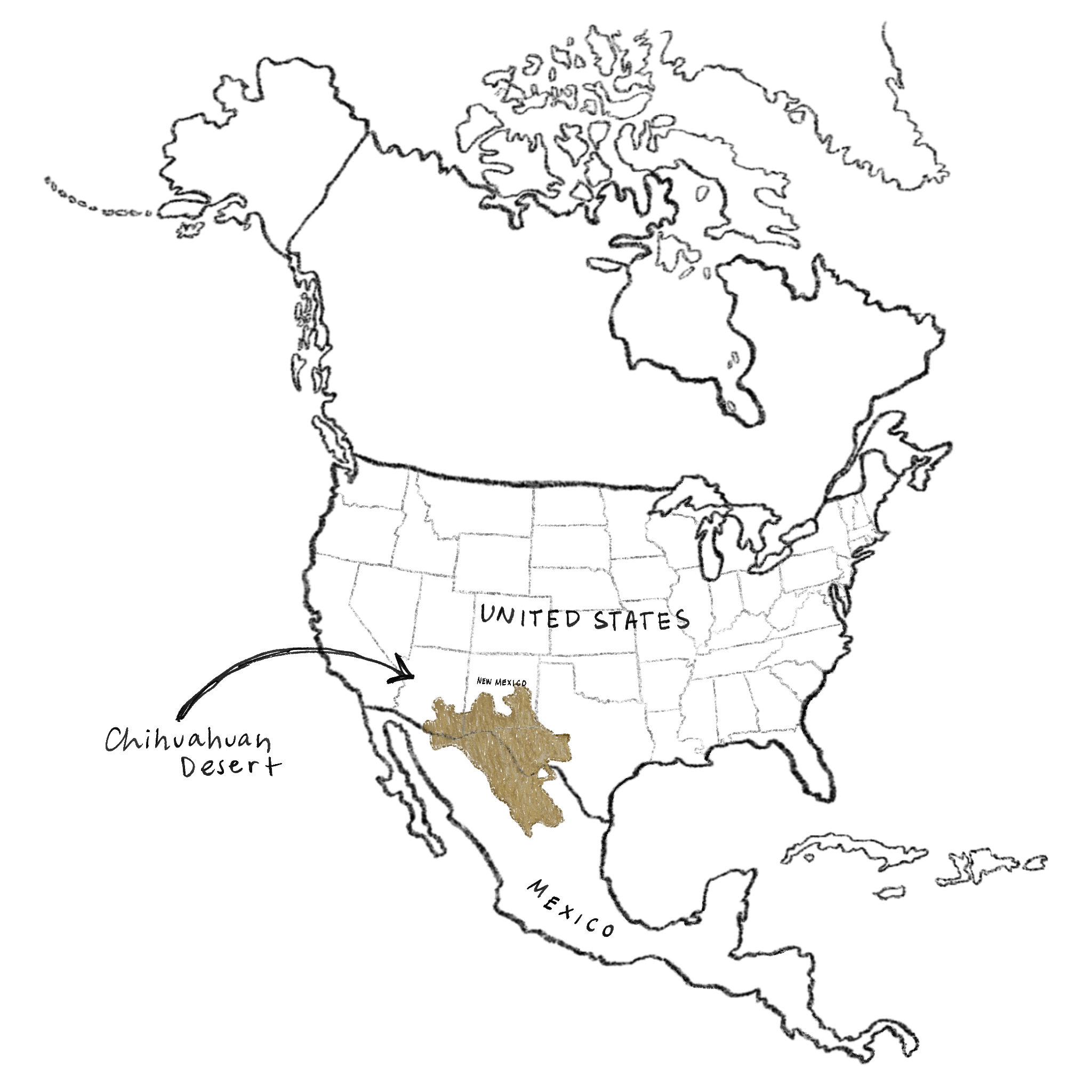 Chihuahuan Desert map