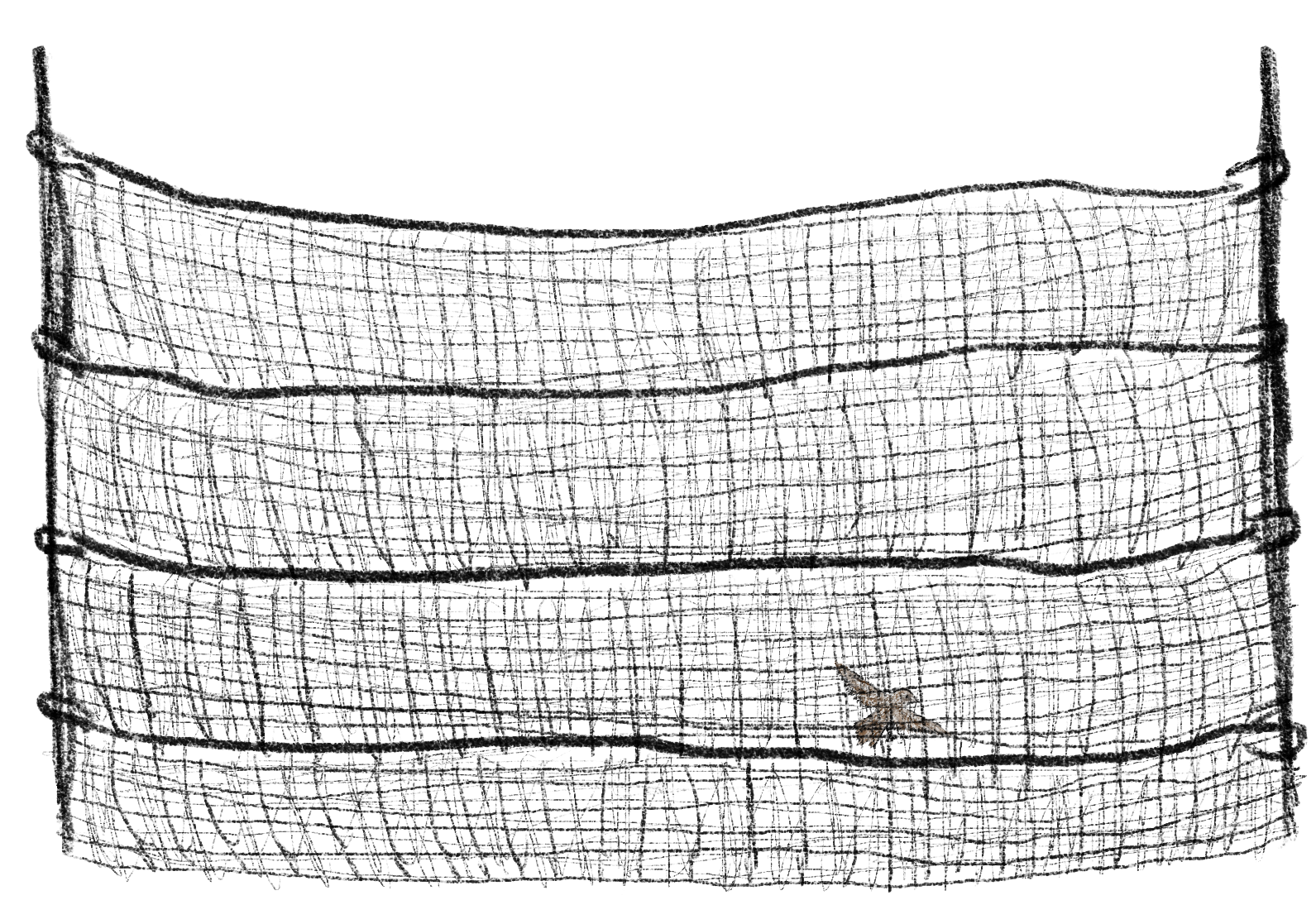 Mist net