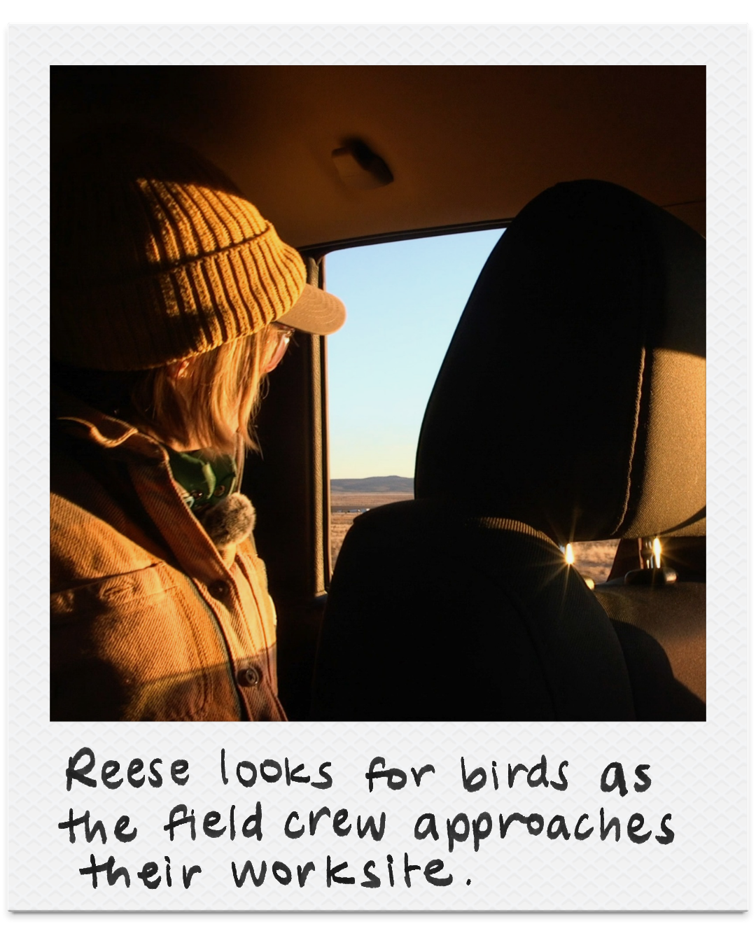 Reese looks for birds as the field crew approaches their worksite.