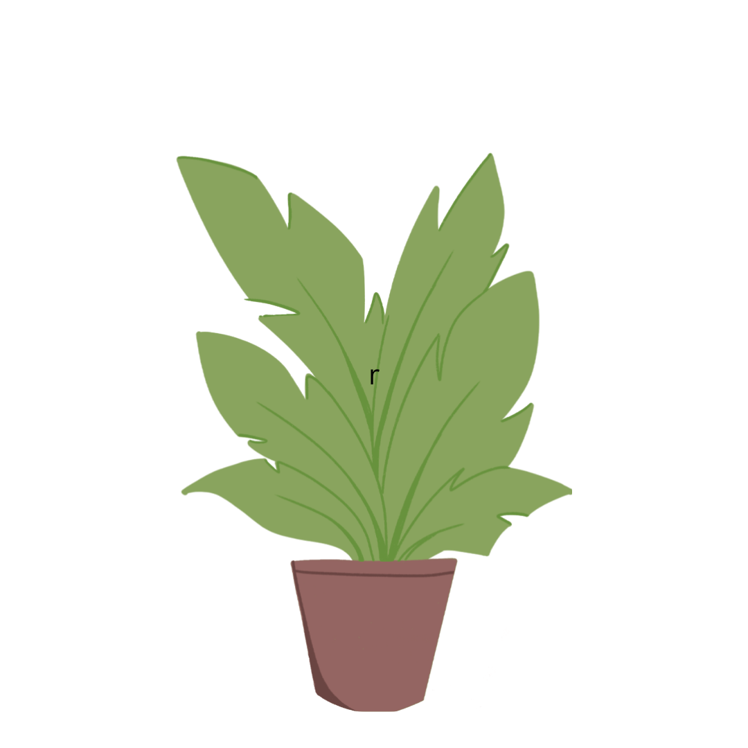potted plant